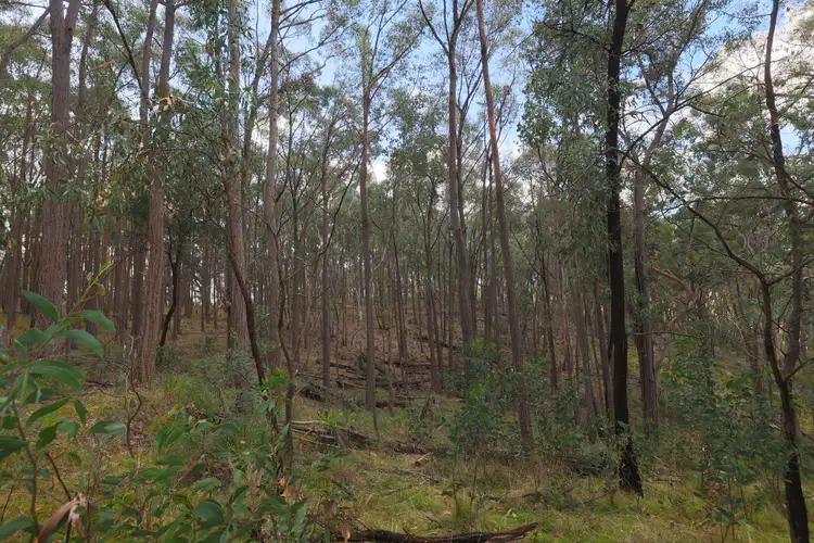 Seventh view of Homely rural property listing, 129 Triangle Swamp Road, Mudgee NSW 2850