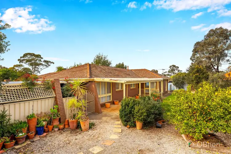 2 Peter Place