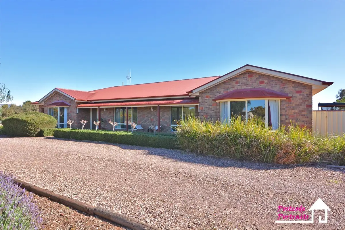 Main view of Homely house listing, 11 Coolibah Court, Whyalla Jenkins SA 5609