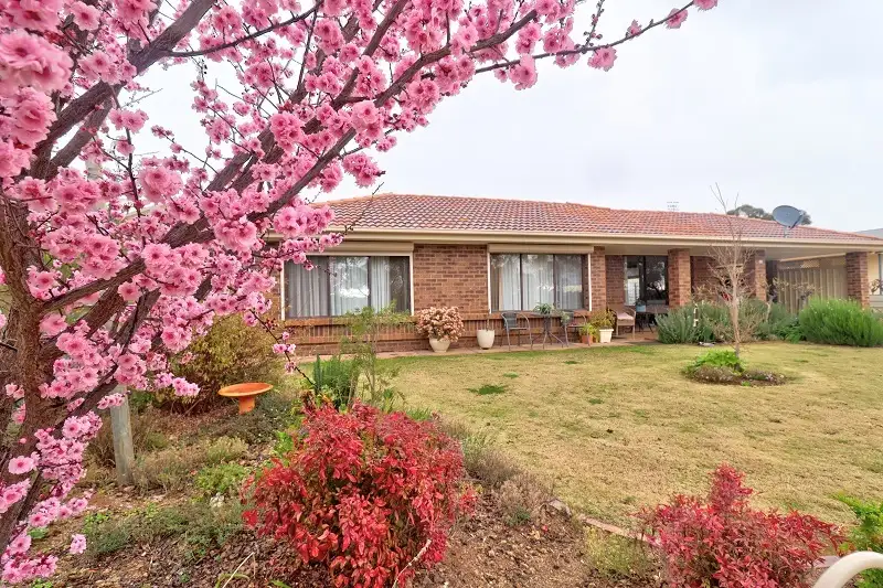 Main view of Homely house listing, 11 Angove Terrace, Monash SA 5342