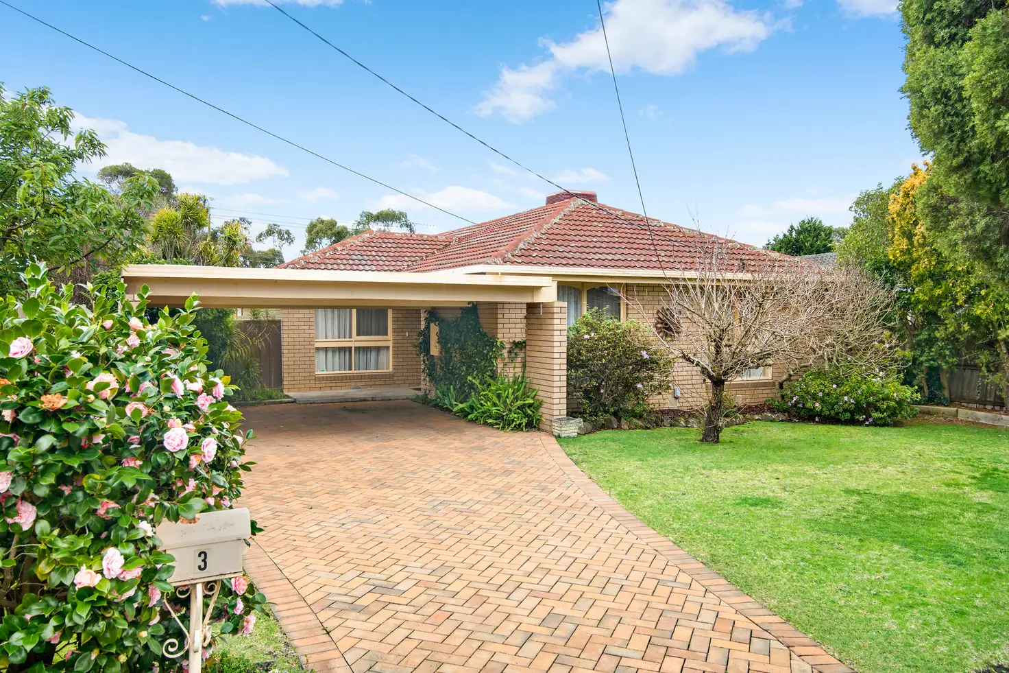 Main view of Homely house listing, 3 Aldrin Drive, Mount Waverley VIC 3149