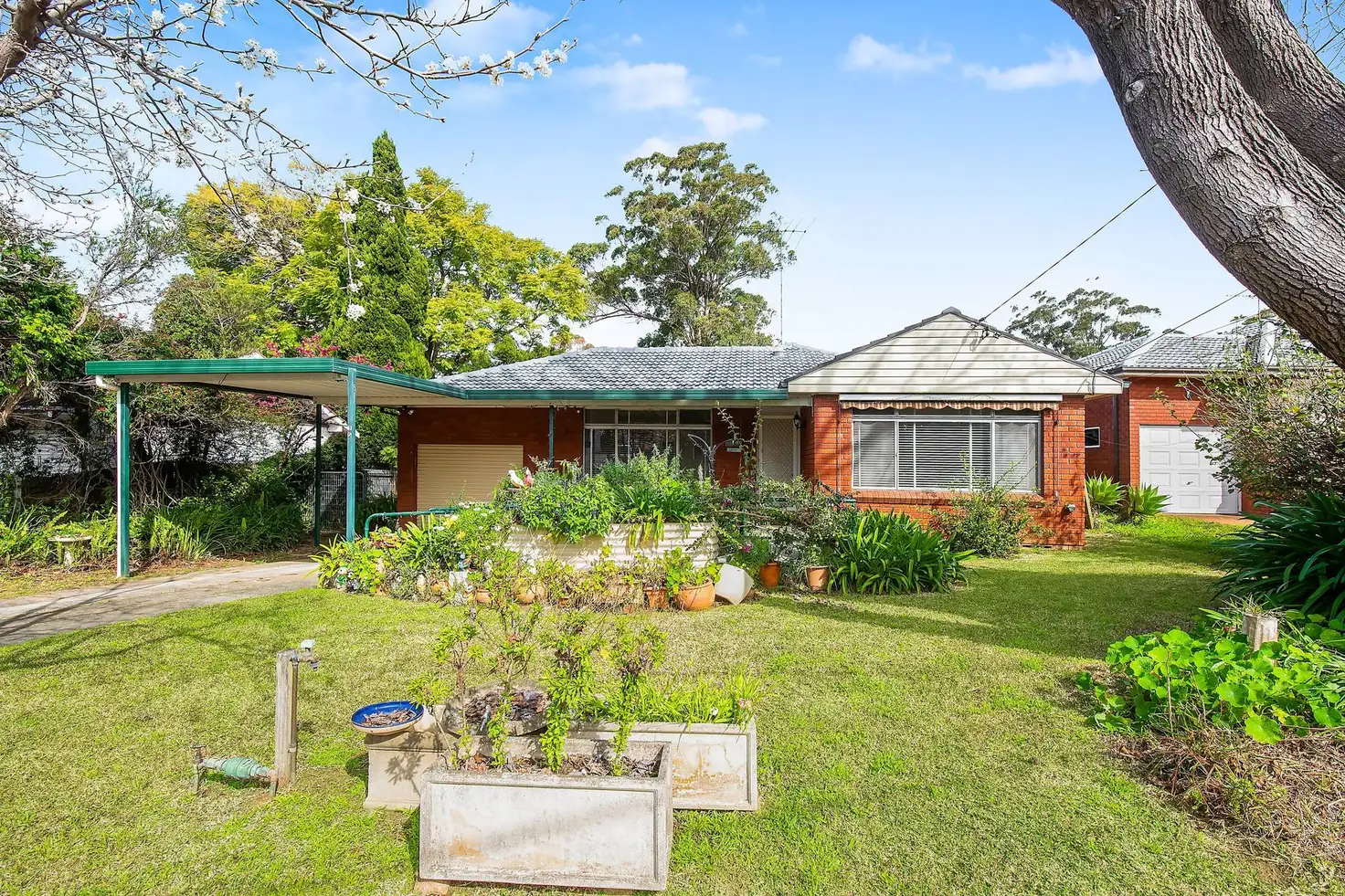 Main view of Homely house listing, 15 Reid Avenue, Castle Hill NSW 2154