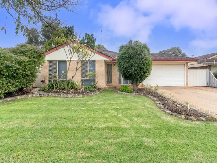 31 Henderson Drive, Seville Grove WA 6112