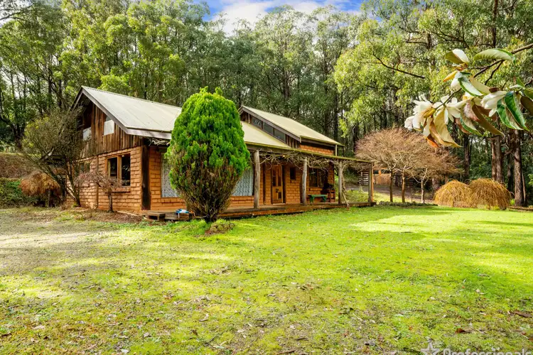Main view of Homely house listing, 5 Glenara Road, Hoddles Creek VIC 3139