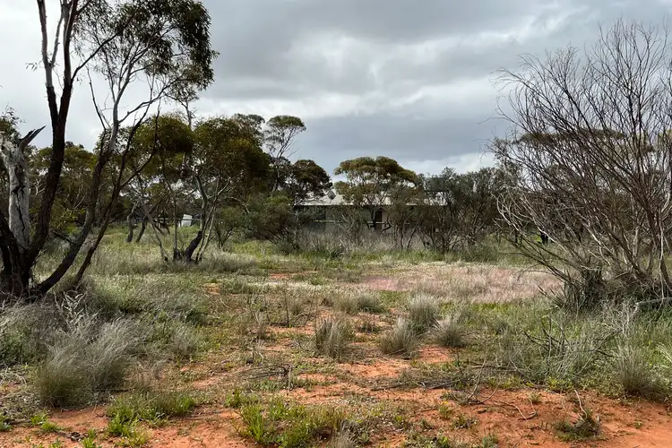 Fifth view of Homely rural property listing, 2943 Binnu East Road, Binnu WA 6532