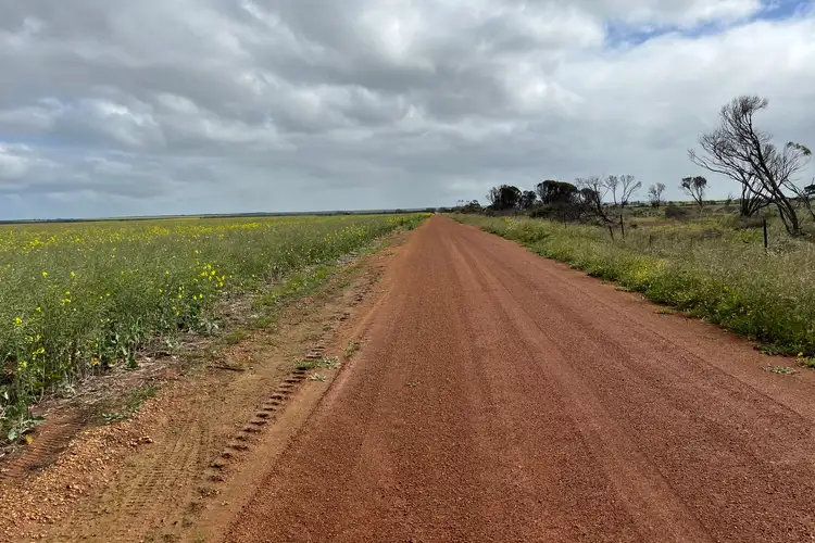 Seventh view of Homely rural property listing, 2943 Binnu East Road, Binnu WA 6532