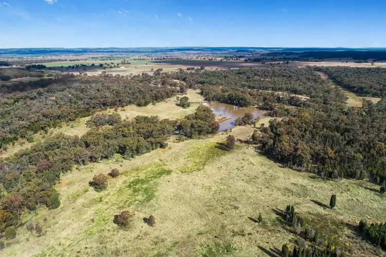 Fifth view of Homely rural property listing, 1025 Castlereagh Highway Road, Dunedoo NSW 2844