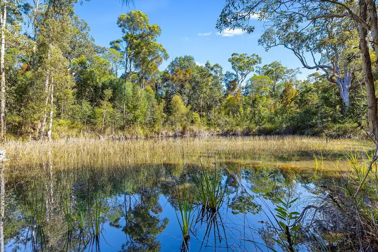 Fifth view of Homely rural property listing, 24 Campbells Road, Cootharaba QLD 4565