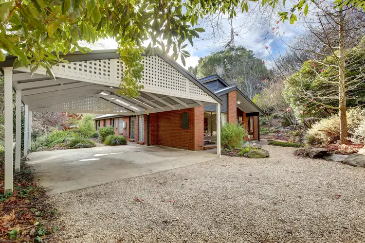 2 The Vines Court