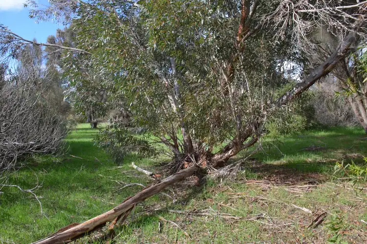 Third view of Homely land listing, 14 Marina Crescent, Nepean Bay SA 5223