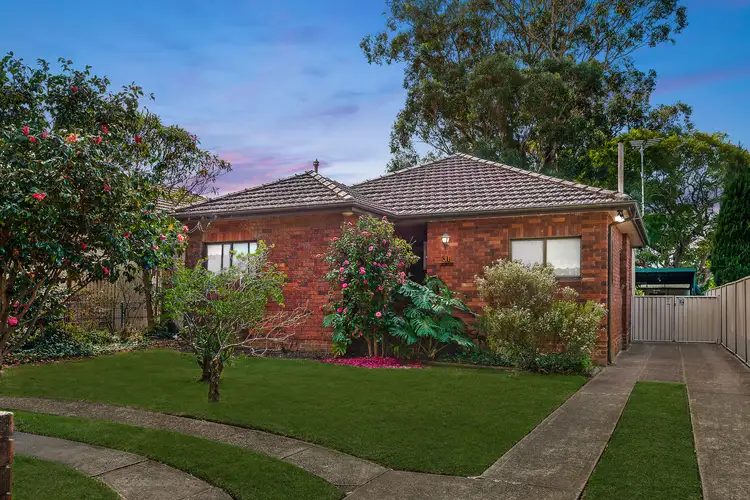 31 Segers Avenue, Padstow NSW 2211