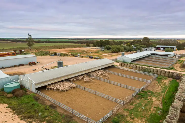 25, 35, 41 Maggea Road, Waikerie SA 5330