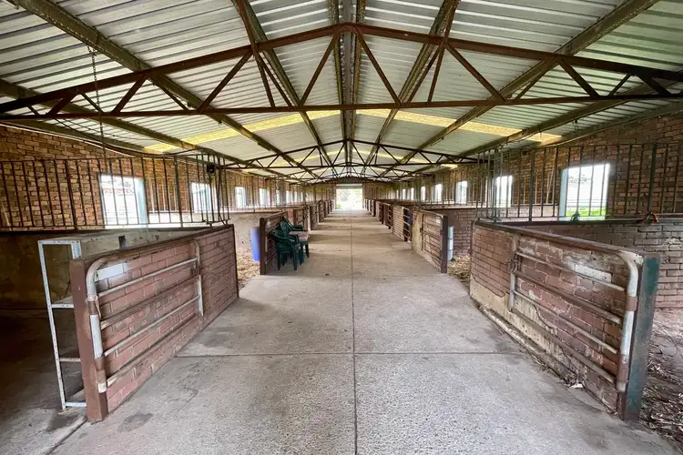 Fourth view of Homely house listing, 61 Nicholas Road, Wanneroo WA 6065