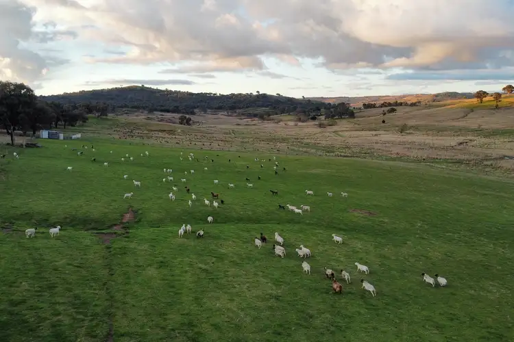 Sixth view of Homely rural property listing, Gentle Destiny Road, Frogmore NSW 2586