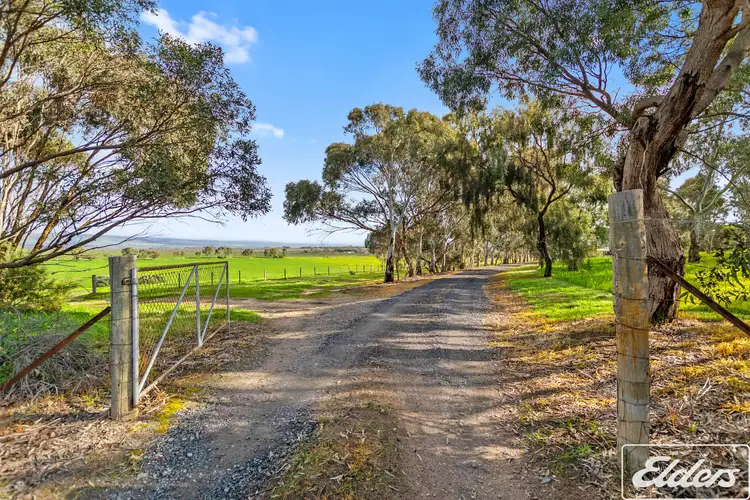 Third view of Homely rural property listing, 365 Bayliss Road, Tatachilla SA 5171