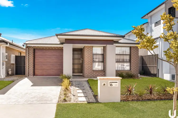 Main view of Homely house listing, 16 Mistflower Street, Marsden Park NSW 2765