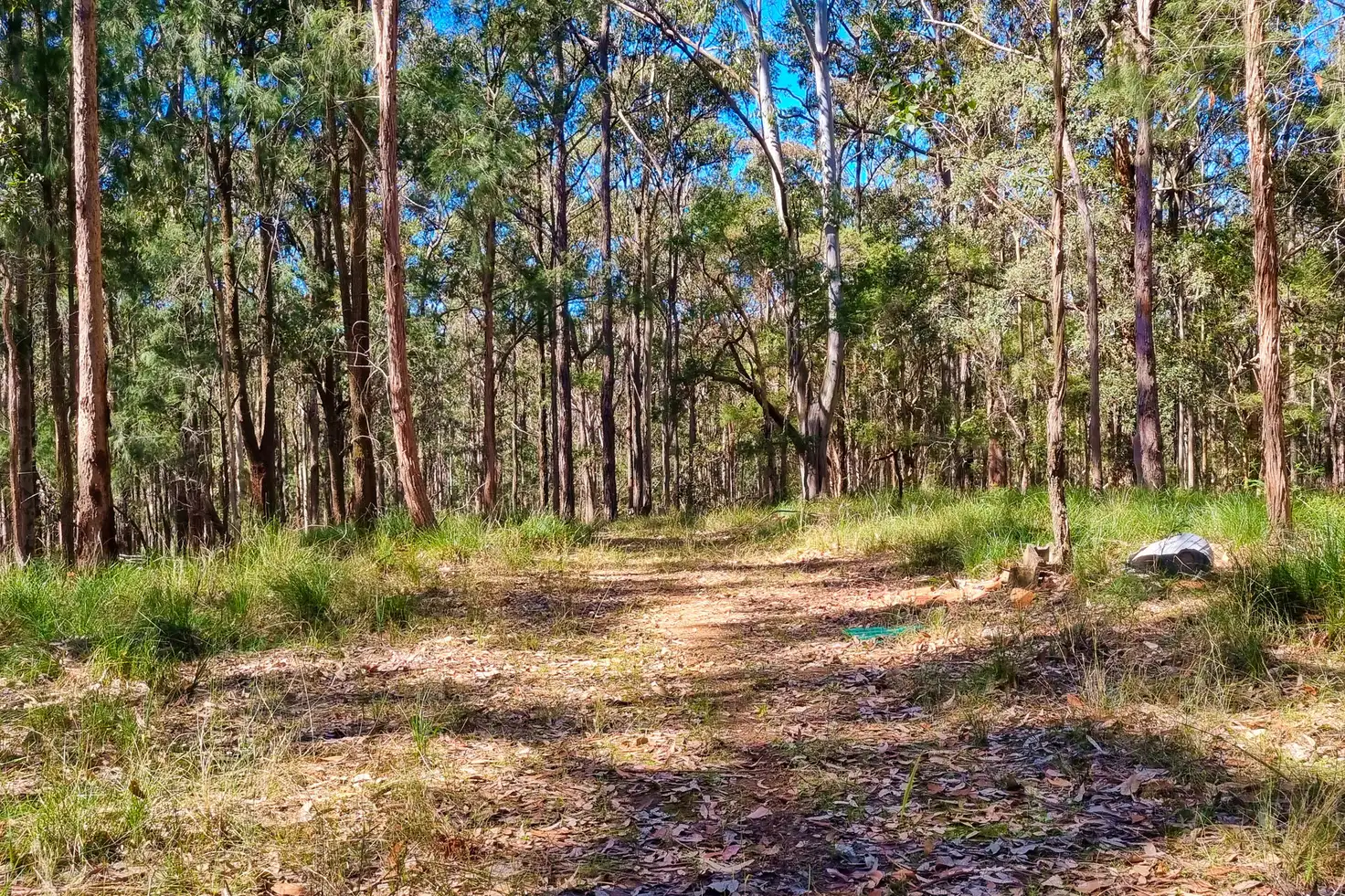 Main view of Homely land listing, 168 Bloomfield Road, Jilliby NSW 2259