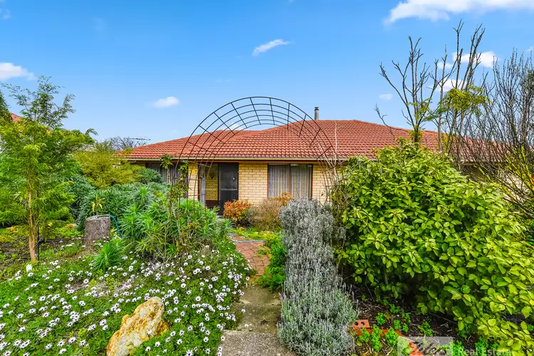Second view of Homely house listing, 49 Main Street, Millicent SA 5280