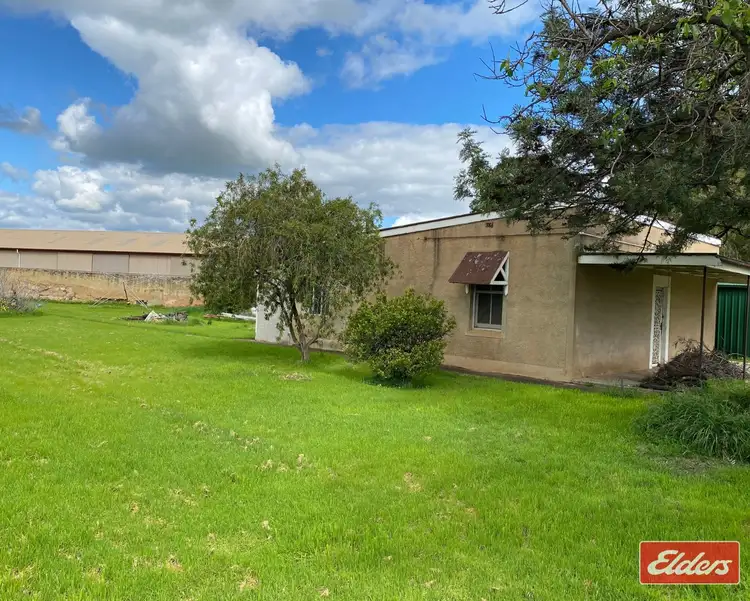Second view of Homely house listing, 11 Paxton Street, Willaston SA 5118