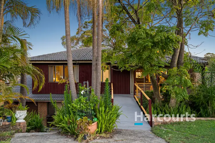 11 Gemini Avenue, Elermore Vale NSW 2287