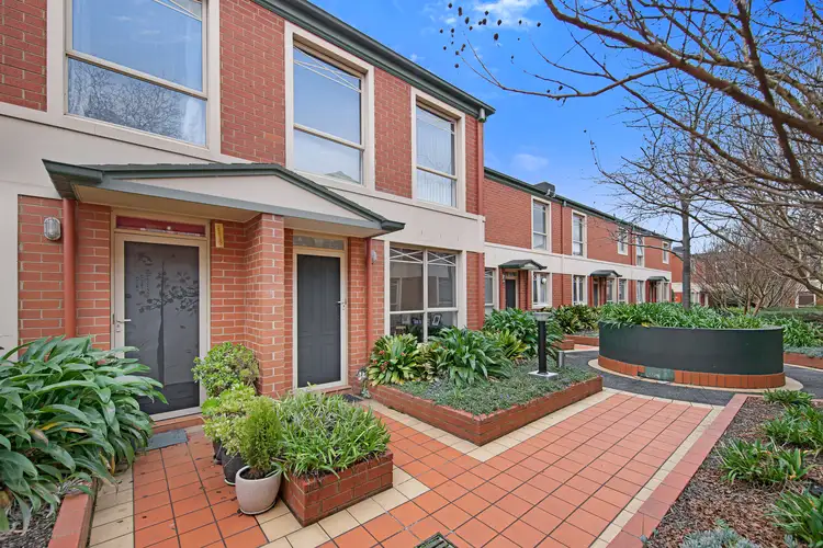 34/910 Canterbury Road