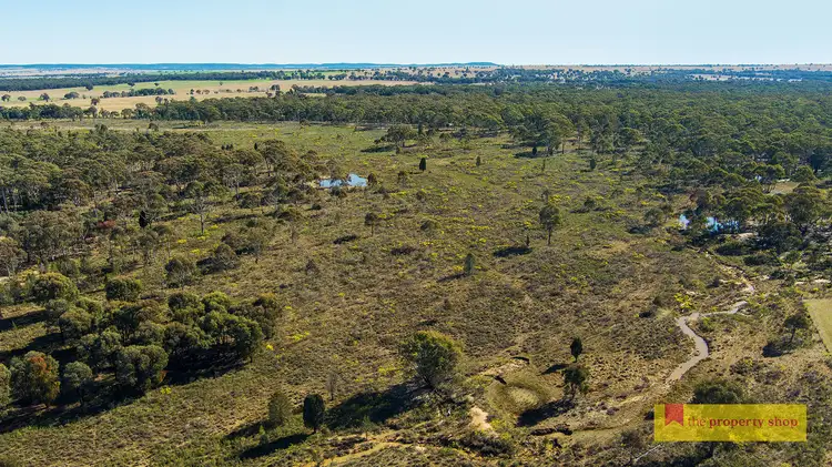Main view of Homely rural property listing, 264 Carramar Road, Gulgong NSW 2852