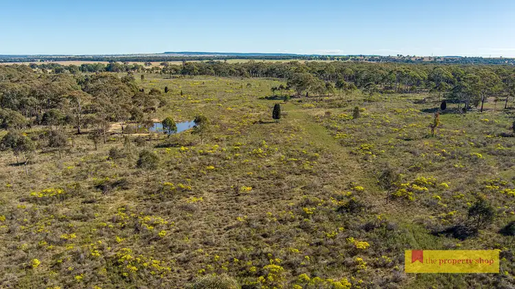 Fourth view of Homely rural property listing, 264 Carramar Road, Gulgong NSW 2852