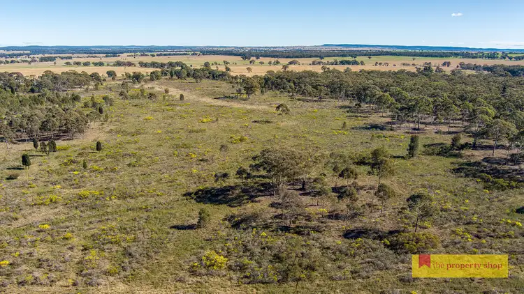 Fifth view of Homely rural property listing, 264 Carramar Road, Gulgong NSW 2852