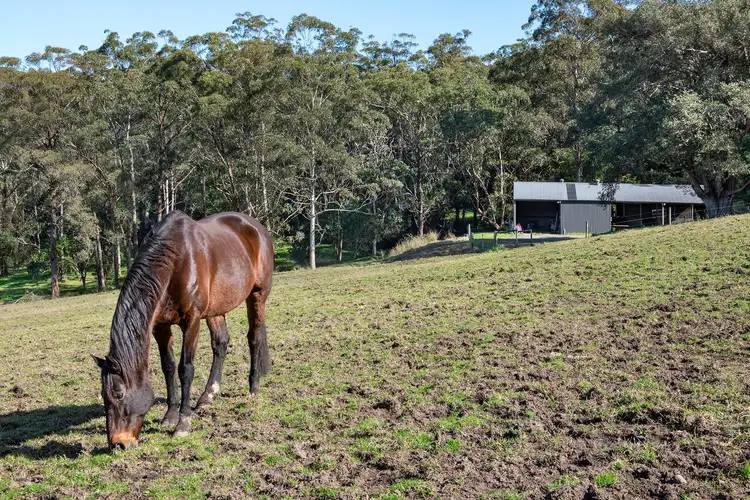 Third view of Homely rural property listing, 57 Byrnes Run, Curramore NSW 2533