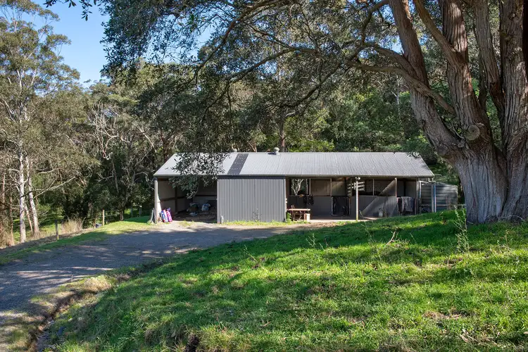 Fourth view of Homely rural property listing, 57 Byrnes Run, Curramore NSW 2533