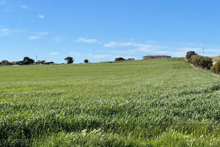 Second view of Homely house listing, 203 Hastings Road, Ceduna SA 5690