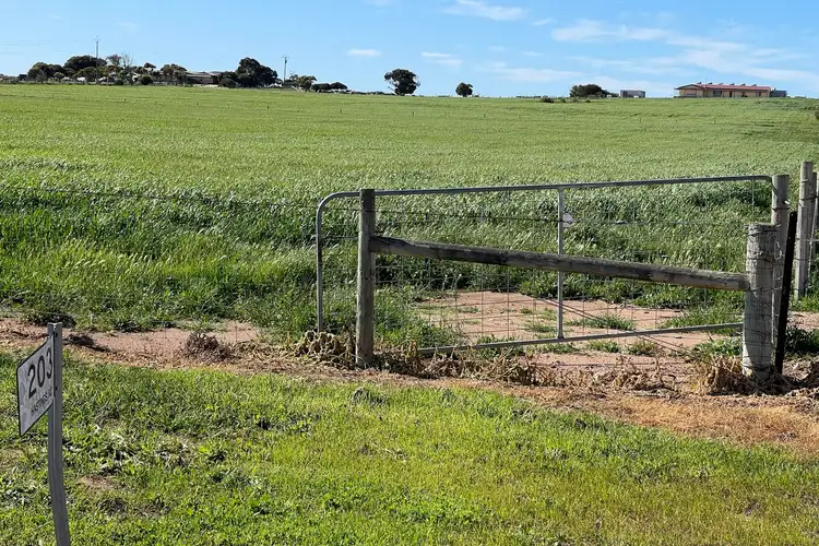Sixth view of Homely house listing, 203 Hastings Road, Ceduna SA 5690