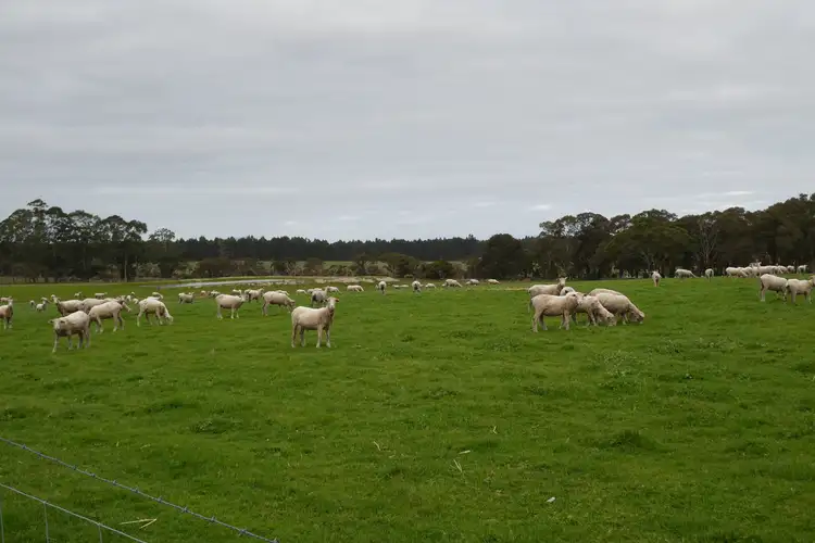 Sixth view of Homely rural property listing, 279 Bennett Road, Napier WA 6330
