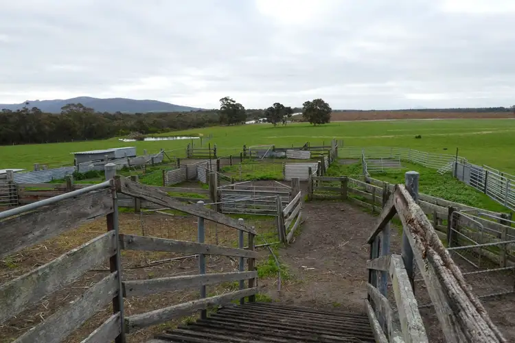 Seventh view of Homely rural property listing, 279 Bennett Road, Napier WA 6330