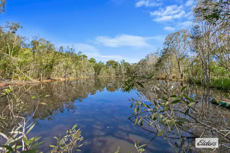 Sixth view of Homely rural property listing, 521 Burrum Heads Road, Burrum River QLD 4659