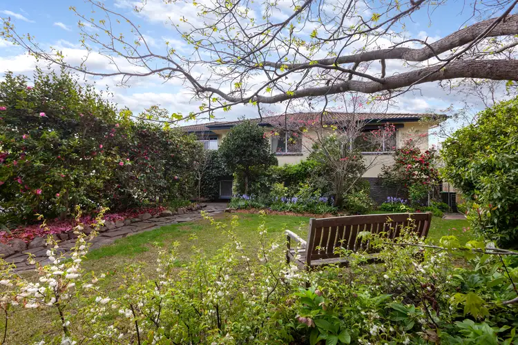 Second view of Homely house listing, 11 Ryan Street, Curtin ACT 2605