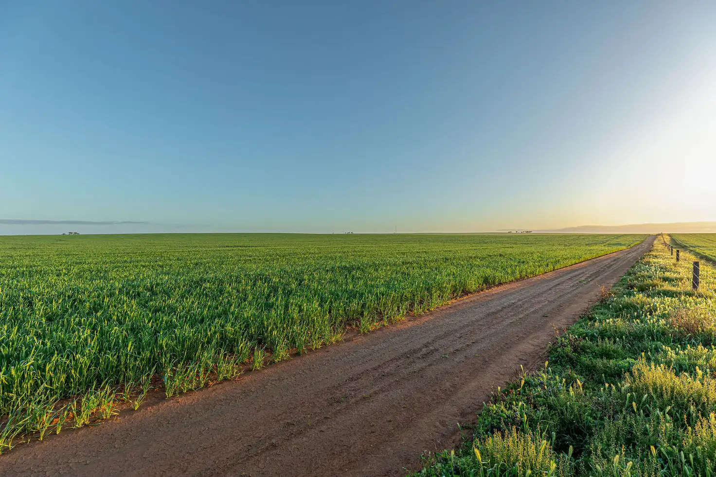 Main view of Homely rural property listing, 984 Pimbaacla Road, Pimbaacla SA 5661