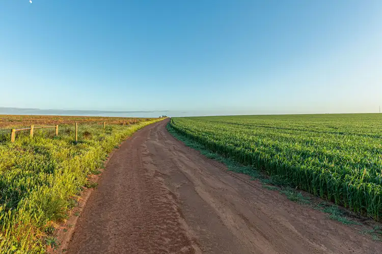 Second view of Homely rural property listing, 984 Pimbaacla Road, Pimbaacla SA 5661
