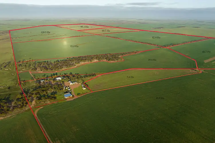 Fourth view of Homely rural property listing, 984 Pimbaacla Road, Pimbaacla SA 5661