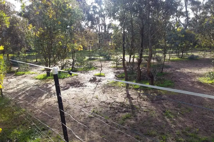Second view of Homely rural property listing, 24 High Street, Moliagul VIC 3472