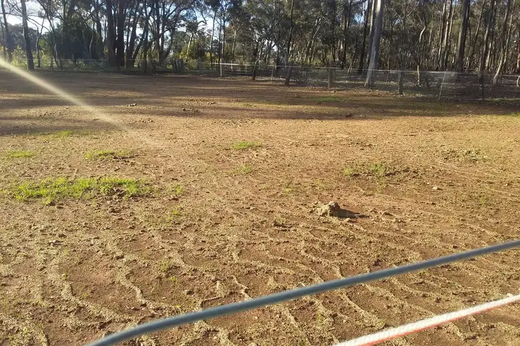 Fourth view of Homely rural property listing, 24 High Street, Moliagul VIC 3472