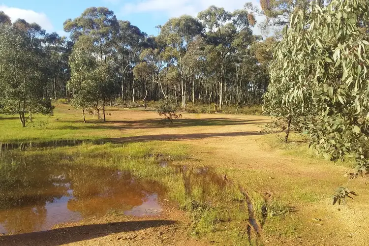 Fifth view of Homely rural property listing, 24 High Street, Moliagul VIC 3472