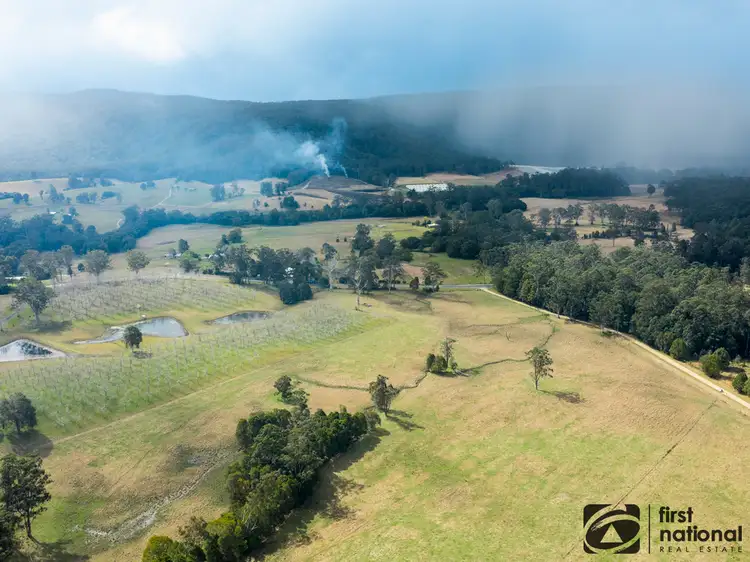 Main view of Homely land listing, LOT 1, 1239 Bucca Road, Bucca NSW 2450