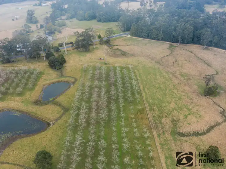 Third view of Homely land listing, LOT 1, 1239 Bucca Road, Bucca NSW 2450