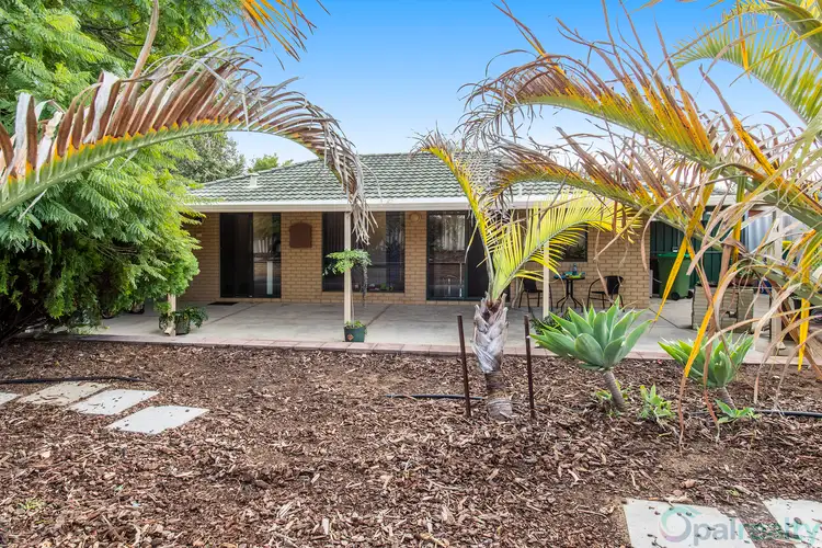 2 Pallarup Grove, Waikiki WA 6169