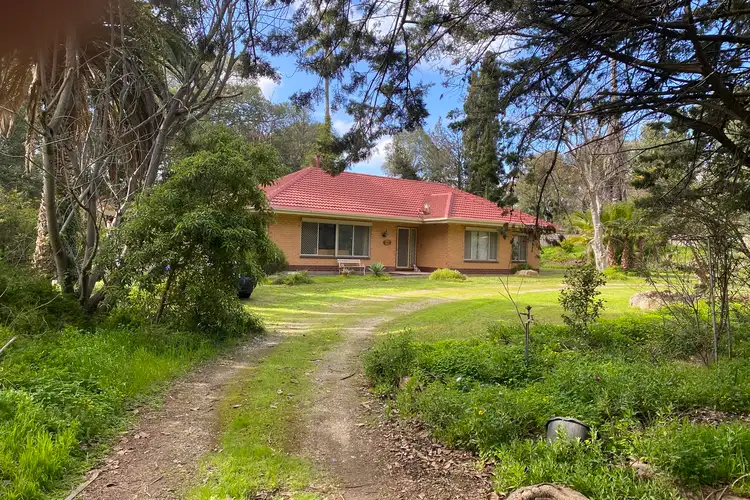 19 Sunnydale Avenue, Kalbeeba SA 5118