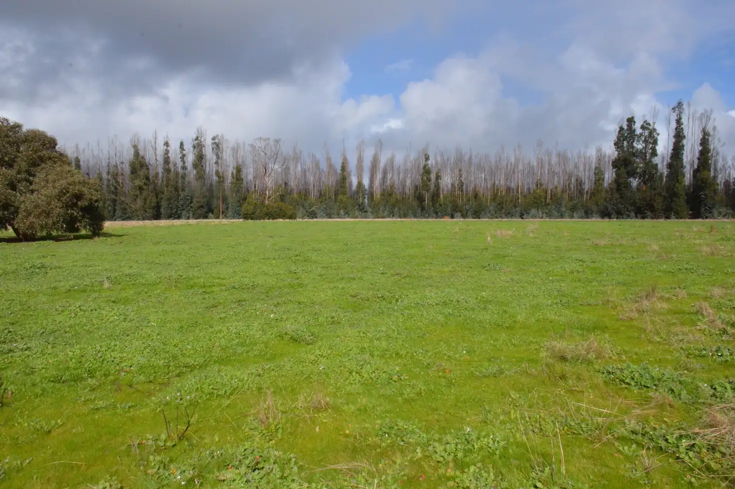 Main view of Homely rural property listing, 150 Church Road, Karatta SA 5223