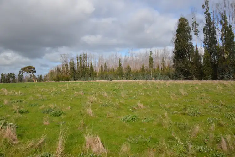 Second view of Homely rural property listing, 150 Church Road, Karatta SA 5223