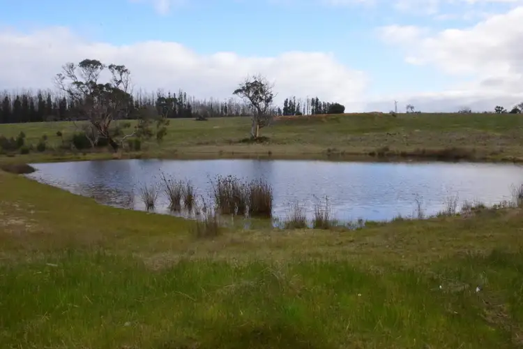 Sixth view of Homely rural property listing, 150 Church Road, Karatta SA 5223