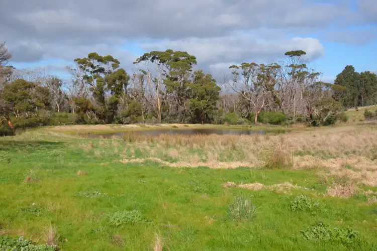 Seventh view of Homely rural property listing, 150 Church Road, Karatta SA 5223